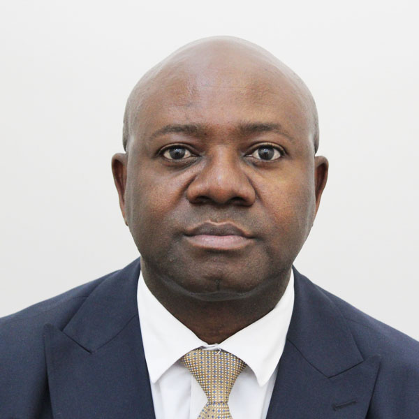 Emmanuel Mashonjowa, Chairperson
